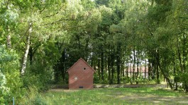 PolyLester Arts & Design