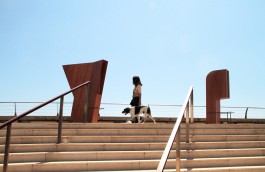 PolyLester Arts & Design
